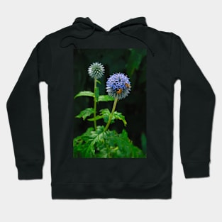 Busy Bees Hoodie